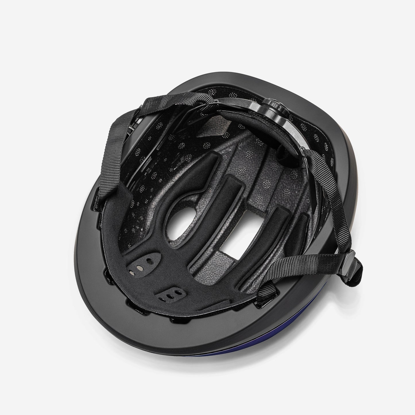 Movino Eclipse (chameleon)